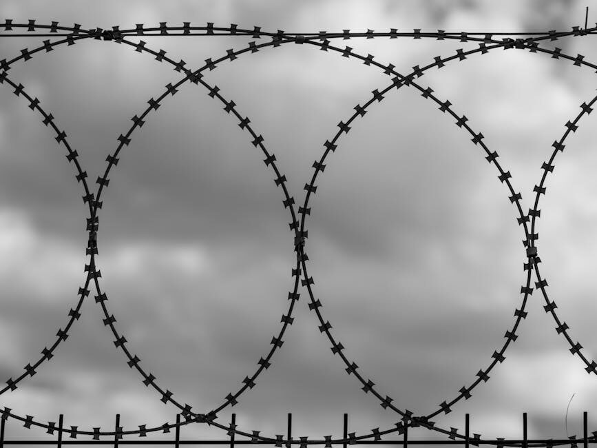 featured the si fi loop of the istj when routine becomes confinement 1