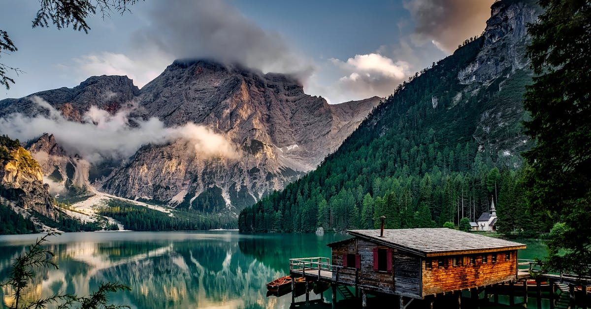 explorez la beauté et la diversité de la nature à travers ses paysages époustouflants, sa faune fascinante et sa flore riche. découvrez des conseils pour préserver notre environnement et apprécier les merveilles naturelles qui nous entourent.