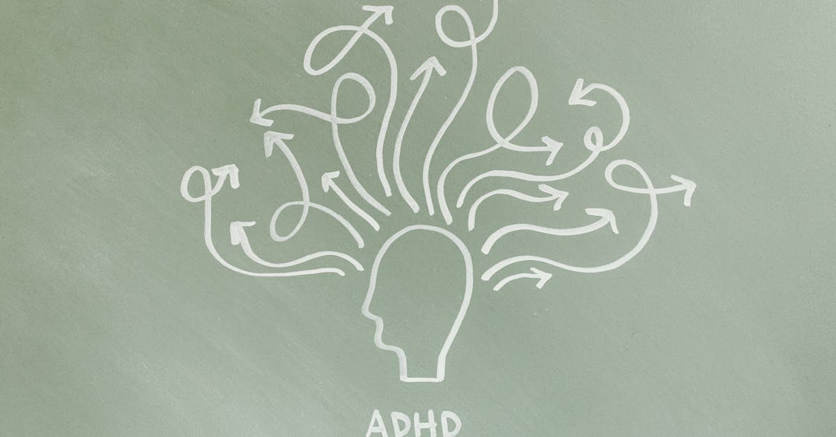 découvrez les fonctions cognitives, ces capacités essentielles de notre cerveau qui nous permettent de penser, d'apprendre et de mémoriser. explorez leur importance pour le développement personnel et comment elles influencent notre quotidien.